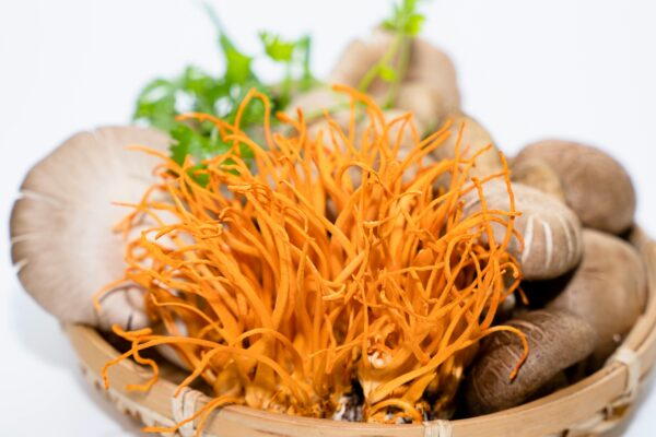 Close-up of various mushrooms and herbs in a basket, highlighting vibrant colors and textures.